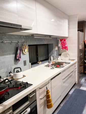 湿気によるカビ・ニオイに強いステンレスエコキャビネット　目黒区Y様邸